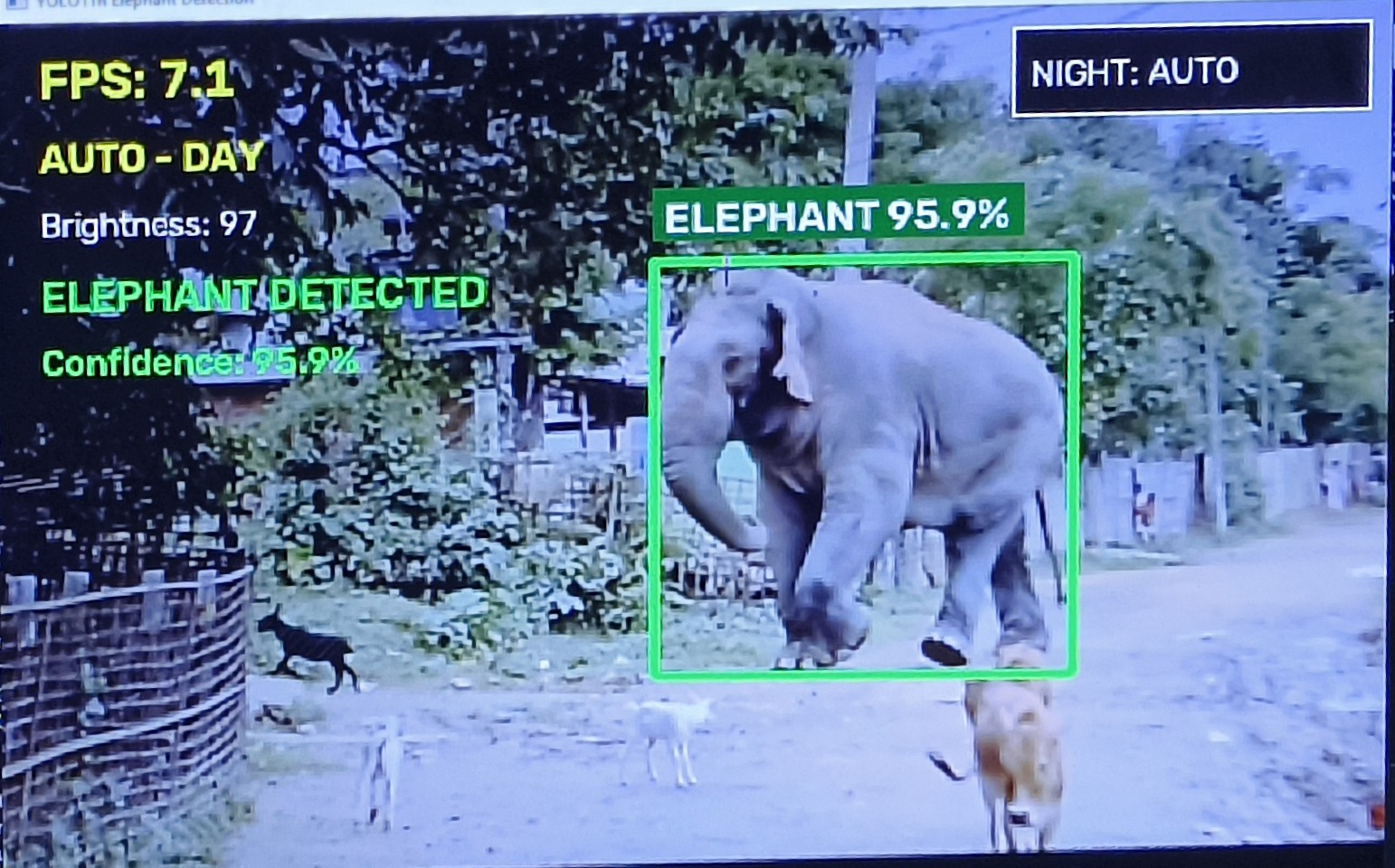AI Thermal Camera Detection for Elephant Intrusion